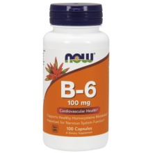  NOW B6 100 mg 100 