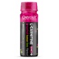 - OstroVit L-carnitine SHOT 80 