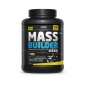  VPLab Mass Builder 2300 