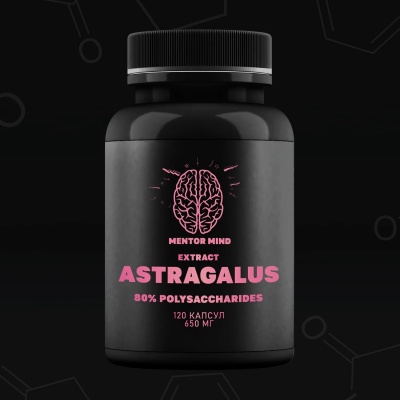 Специальный препарат Mentor Mind Astragalus 120 капсул